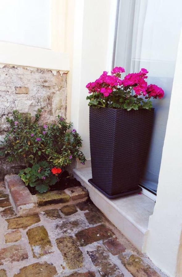Anemomilos Jacuzzi Suite Corfu  Ngoại thất bức ảnh